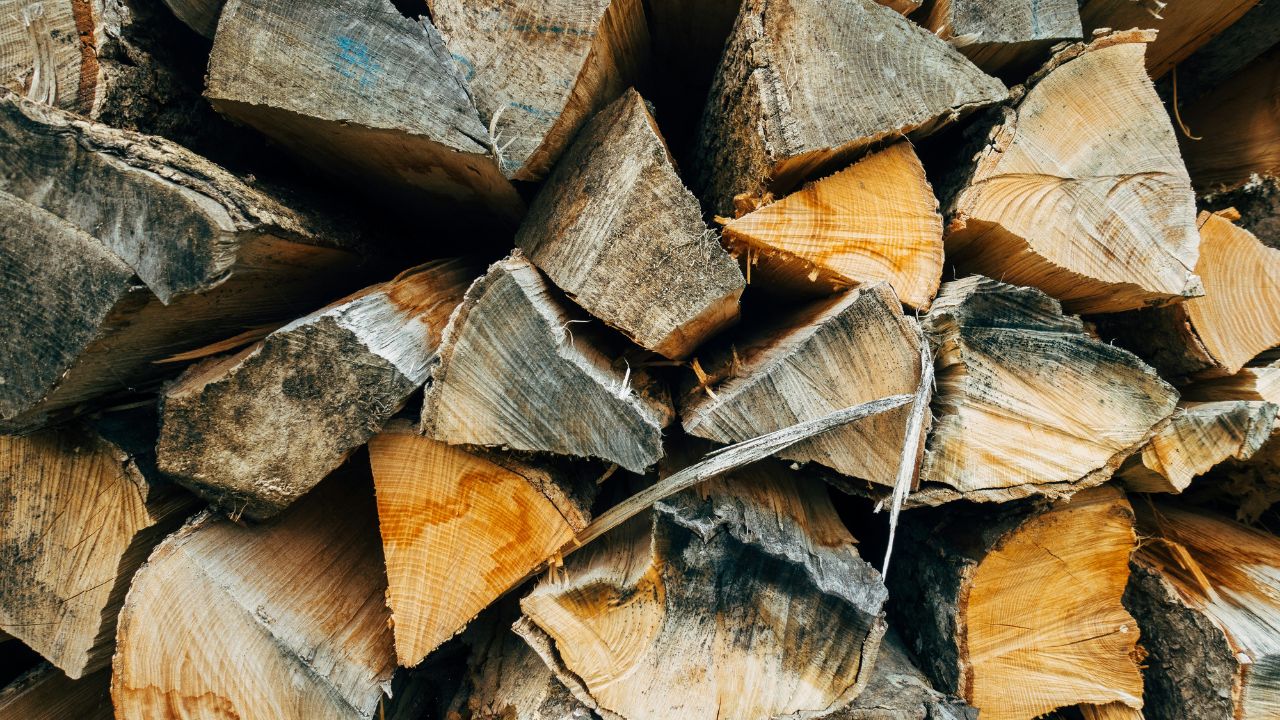 Which Is The Most Used Firewood In The World?